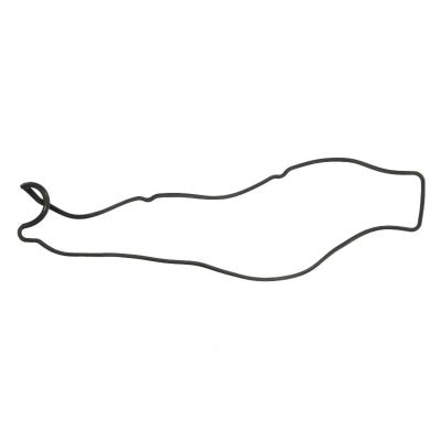 Abbildung von REINZ 71 10119 00 Ventildeckeldichtung LEXUS: IS I Limousine, Sportcross, GS II, TOYOTA: Supra IV