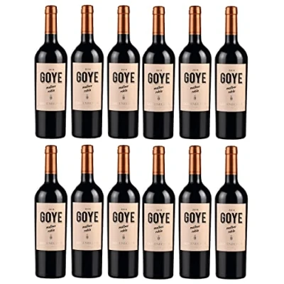 Abbildung von Goyenechea Malbec GOYE Rotwein Wein trocken Argentinien I FeinWert Paket (12 x 0,75l)