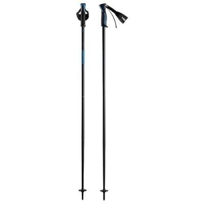 Abbildung von HEAD Unisex Adult Frontside Skistöcke, blau, 105