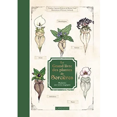 Abbildung von Le Grand Livre des plantes de sorcières: 80 aux vertus magiques