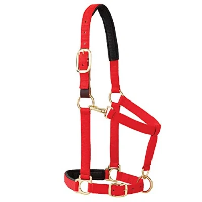 Abbildung von Weaver Leather Padded Breakaway Adjustable Chin and Throat Snap Halter, 1&quot; Average Horse or Yearling Draft, Red