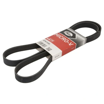Abbildung von GATES 6PK1650 Keilrippenriemen 1650 6 Polyester, EPDM (Ethylen Propylen Dien Kautschuk) RoadMax Value Line FORD: Escort Schrägheck