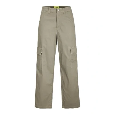 Abbildung von JJXX JXKENDAL REG STRA Cargo MW Pant PNT NOOS