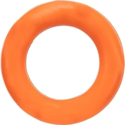 Abbildung von TRIXIE Outdoor Spielzeug Ring, Naturgummi, Durchmesser: 9 cm / Farbe: orange