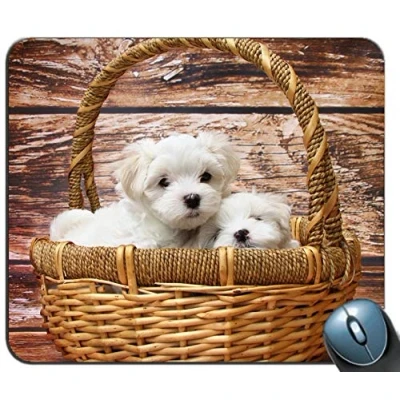 Abbildung von Malteser Hund personalisierte rechteckige Mousepad, Druck Skid Komfort maßgeschneiderte Computer Maus Pads Mousepad