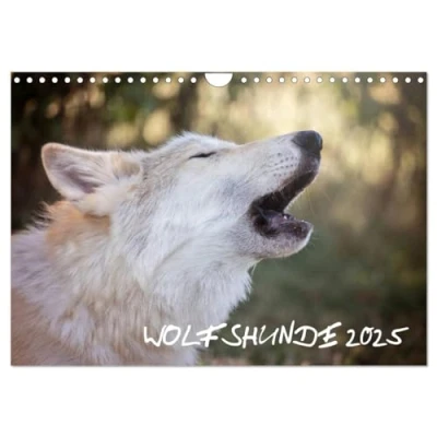 Abbildung von Wolfshunde 2025 (Wandkalender DIN A4 quer), CALVENDO Monatskalender
