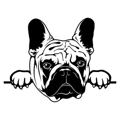 Abbildung von Finest Folia Aufkleber Peeking Animals Tiere Deko Sticker selbstklebend wasserfest für Auto Kühlschrank Laptop Koffer Autoaufkleber K151 (Schwarz Glanz, 02 Bulldogge)