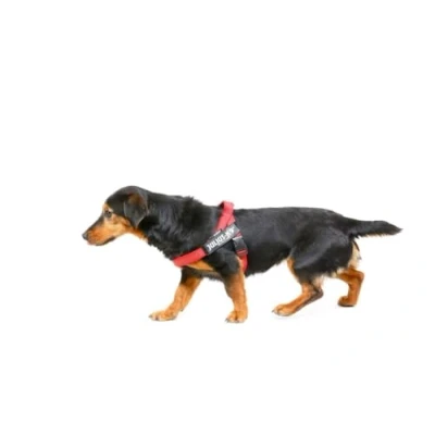 Abbildung von Julius K9 C&amp;amp G IDC Geschirr, Größe: Mini, rot, Brustumfang 49 67 cm