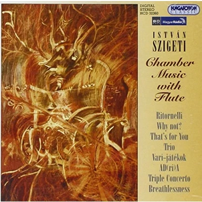 Abbildung von Kammermusik mit Flöte
