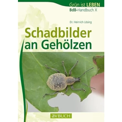 Abbildung von Schadbilder an Gehölzen: BdB Handbuch X (avBuch im Cadmos Verlag: Verlag)