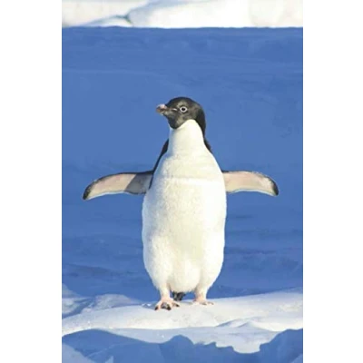 Abbildung von Pinguin Notizbuch: liniertes Notizbuch / Tagebuch mit Bild als Motiv 120 Seiten in Taschenbuchgröße