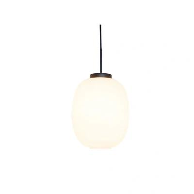 Abbildung von Dyberg Larsen DL39 Pendel Ø 25cm opalweiß/schwarz