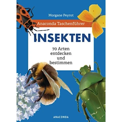 Abbildung von Anaconda Taschenführer Insekten. 70 Arten entdecken und bestimmen: Der handliche Naturführer für unterwegs. Mit Daumenregister