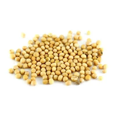 Abbildung von Gelbsenf ganz BIO, 1kg von Dragonspice Naturwaren,