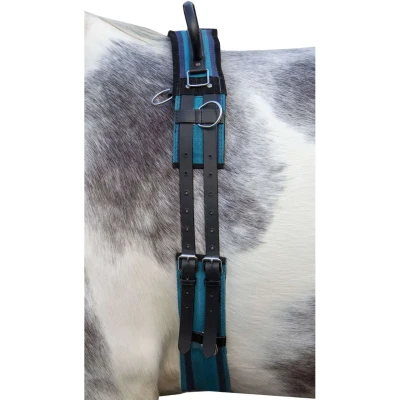 Abbildung von HKM Longiergurt Canvas mit Doppelter Handgriff Navy Pony