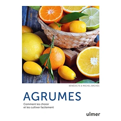 Abbildung von Agrumes Comment les choisir et cultiver facilement