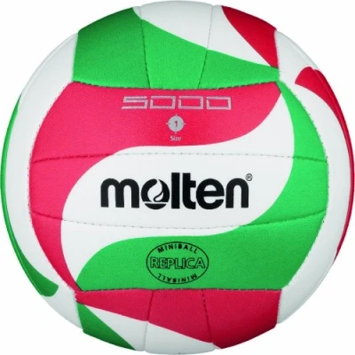 Abbildung von Molten Volleyball
