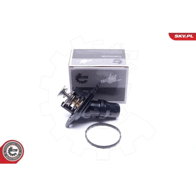 Abbildung von Thermostat, Kühlmittel ESEN SKV 20SKV195