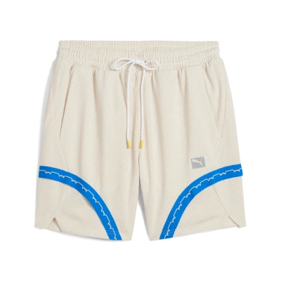 Abbildung von Puma kurze Sporthose, Herren, Größe: Large, Alpine snow