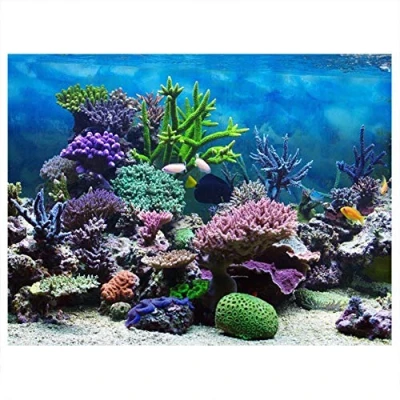 Abbildung von Zerodis Dekoratives Poster für Aquarium Unterwasserkorallen Abziehbilder PVC Aufkleber Klebedekore Hintergrund(122 * 50cm)