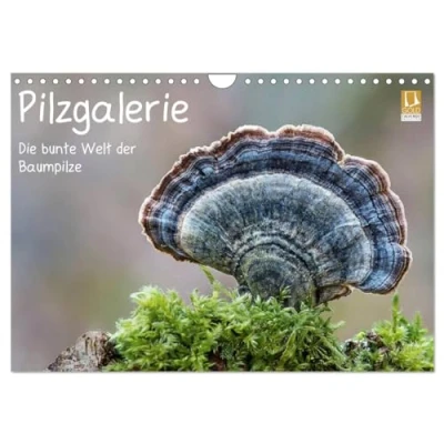 Abbildung von Pilzgalerie Die bunte Welt der Baumpilze (Wandkalender 2025 DIN A4 quer), CALVENDO Monatskalender
