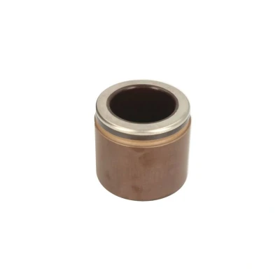 Abbildung von AUTOFREN SEINSA D025593 Kolben, Bremssattel 61 Vorderachse PBR CHRYSLER: 300C Touring