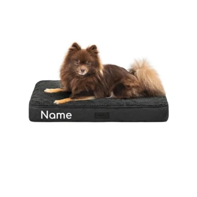 Abbildung von lionto Hundebett orthopädisch, 60x40x8 cm, Robustes Hundekissen mit weichem Plüsch, Bezug abnehmbar &amp; waschbar, wasserabweisend, geeignet für kleine große Hunde + Katzen, schwarz (Namensaufdruck)