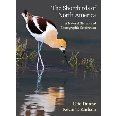 Abbildung von The Shorebirds of North America: A Natural History and Photographic Celebration