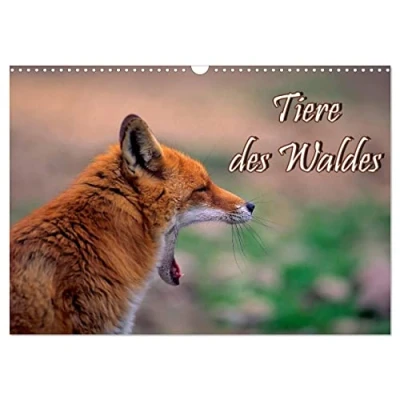Abbildung von Tiere des Waldes (Wandkalender 2025 DIN A3 quer), CALVENDO Monatskalender