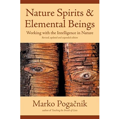 Abbildung von Nature Spirits &amp; Elemental Beings: Working with the Intelligence in