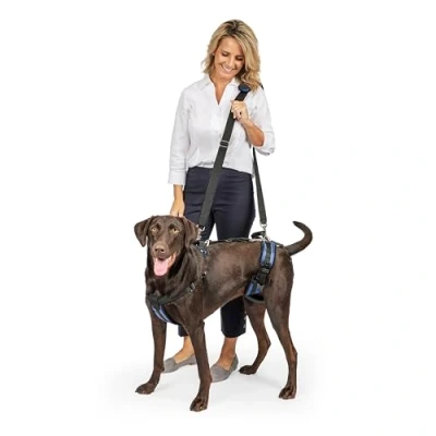 Abbildung von PetSafe CareLift Hebegeschirr für Hunde, Zur Unterstützung Ihres Hundes bei Stufen und Ein Aussteigen, Größe M