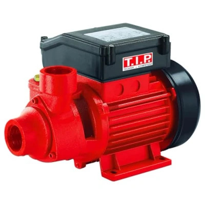 Abbildung von Peripher Gartenpumpe GPP 2100 M