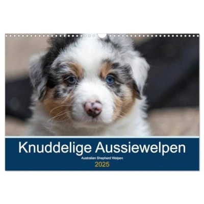 Abbildung von Australian Shepherd Welpen 2025 (Wandkalender DIN A3 quer), CALVENDO Monatskalender