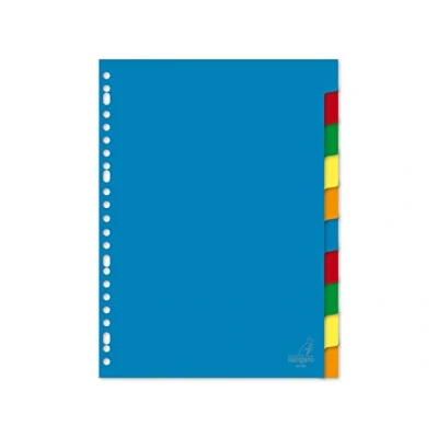 Abbildung von Register Kangaro DIN A4 blanko PP 120 micron 23r. 10tlg sortiert Tabs