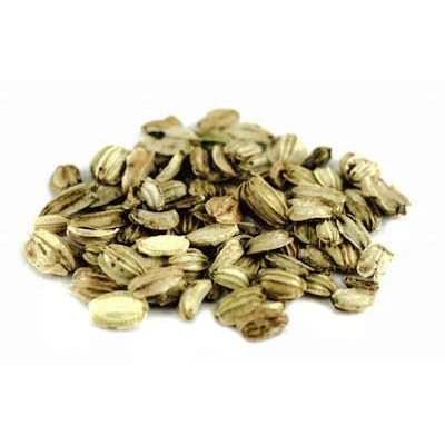 Abbildung von Angelikasamen BIO, ganz 100g von Dragonspice Naturwaren,