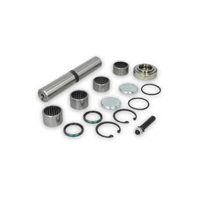 Abbildung von NTY KNZ NS 002 Reparatursatz, Achsschenkel NISSAN: Patrol GR 5 SUV, Pritsche / Fahrgestell, 4 SUV