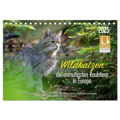 Abbildung von Wildkatzen die anmutigsten Raubiere in Europa. (Tischkalender 2025 DIN A5 quer), CALVENDO Monatskalender