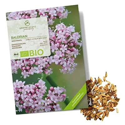 Abbildung von BIO Baldrian Samen Heilkräuter Saatgut aus biologischem Anbau ideal für den heimischen Kräutergarten, Balkon &amp; Garten (200 Korn)