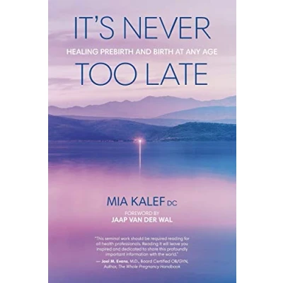 Abbildung von It&#039;s Never Too Late: Healing Prebirth And Birth At Any Age