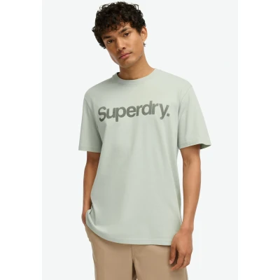 Abbildung von Superdry CORE LOGO CITY Loose Tshirt print, Herren, Größe: Large, Puritan grey
