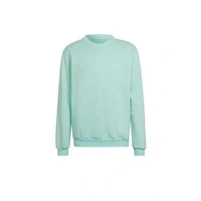 Abbildung von adidas Performance Entrada Sweatshirt, Herren, Größe: Small, Turquoise