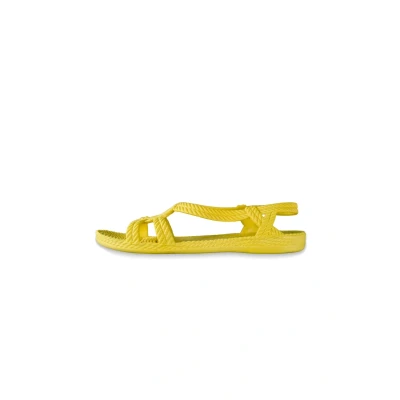 Abbildung von Flip Flops BRASILERAS der Frau von gelber Farbe