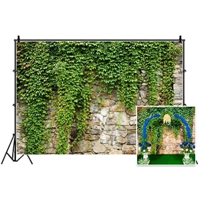 Abbildung von Leyiyi Kulisse Kulisse, 9x6ft