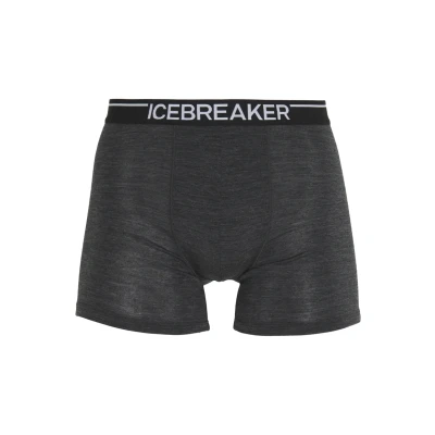 Abbildung von Icebreaker Anatomica Panties, Herren, Größe: XL, Jet heather