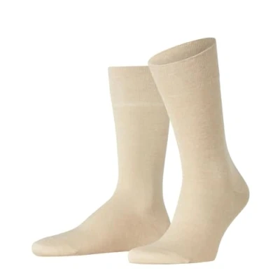 Abbildung von Falke Socken, Herren, Größe: 41/42, Creme