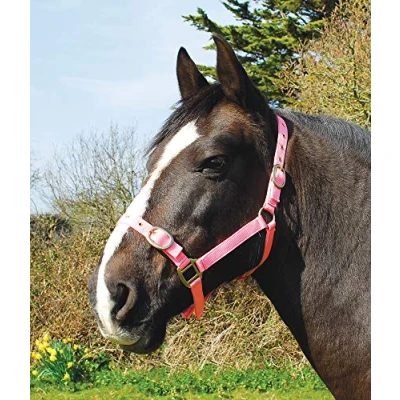 Abbildung von Rhinegold 0 Nylon Headcollar Full Pink Halfter, Rose, Volle Größe
