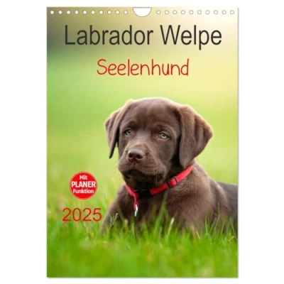 Abbildung von Labrador Welpe Seelenhund (Wandkalender 2025 DIN A4 hoch), CALVENDO Monatskalender