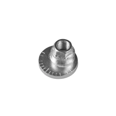 Abbildung von TEDGUM TED48023 Sturzkorrekturschraube TOYOTA: RAV4 II SUV, I SUV