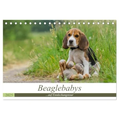 Abbildung von Beaglebabys auf Entdeckungstour (Tischkalender 2025 DIN A5 quer), CALVENDO Monatskalender