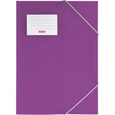 Abbildung von 10 x Brunnen Sammelmappe Fact! A4 PP Folie purple